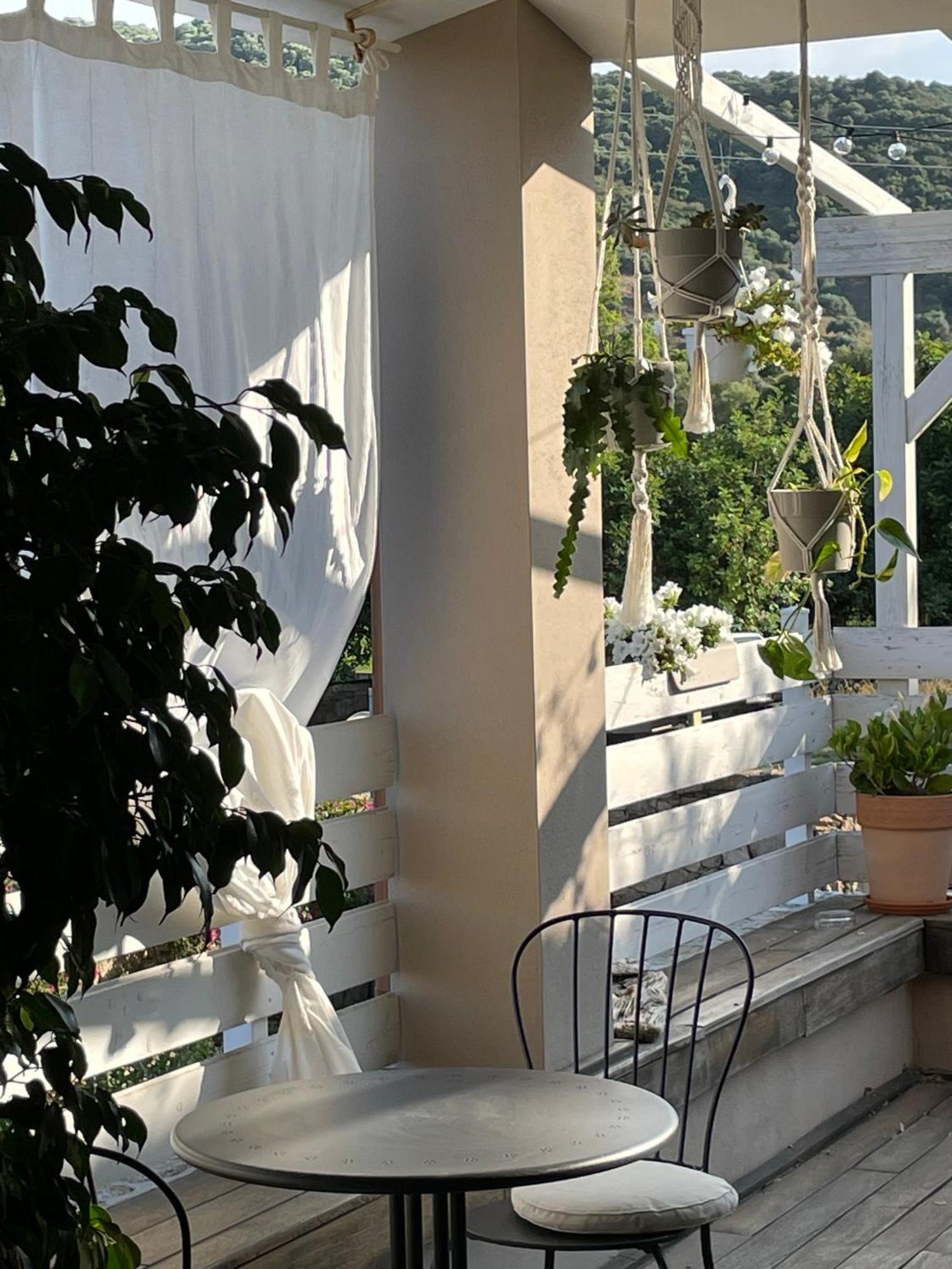La Pecora Nera B&B 부도니 외부 사진